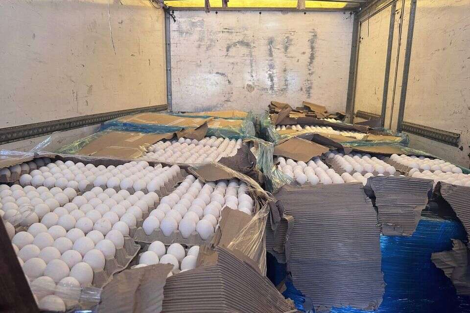 עשרות אלפי ביצים לא מפוקחות , משרד החקלאות