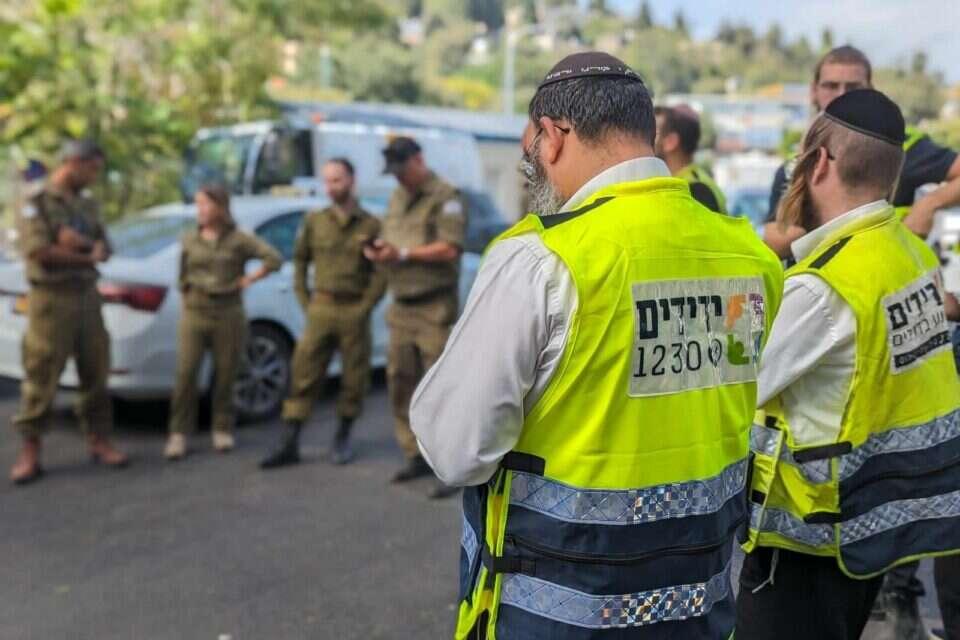ידידים , דוברות ידידים
