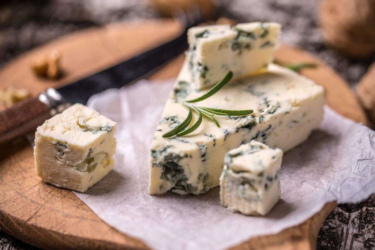 The mold, the maggots and the smell of the socks: the strangest cheeses in the world