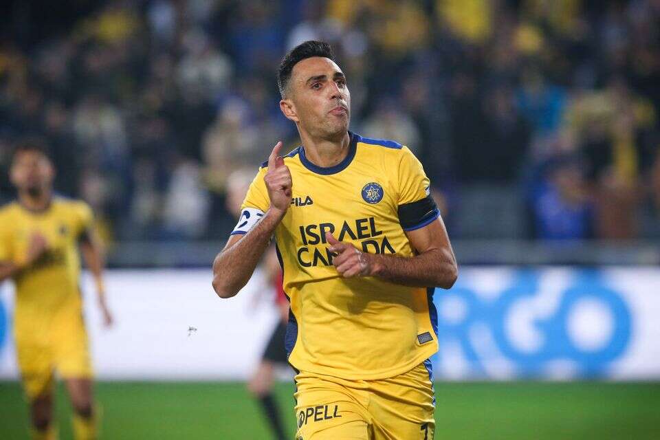 זהבי , עמי שומן