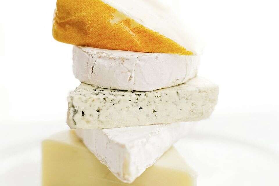 בשוודיה התעקשו לבדוק: האם גבינות שמנות יכולות להגן מפני דמנציה?