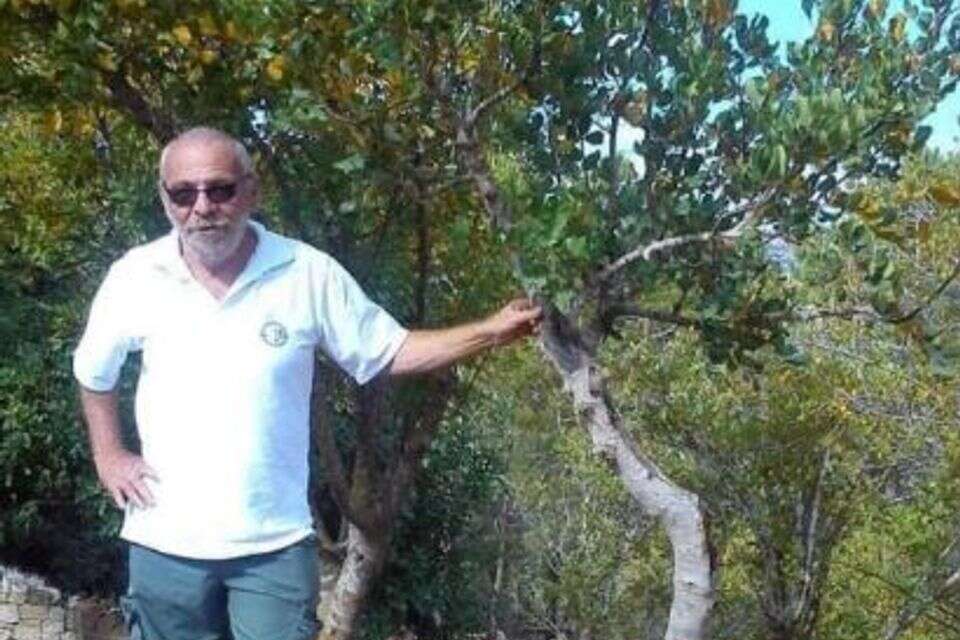 אלכס דנציג , באדיבות המשפחה