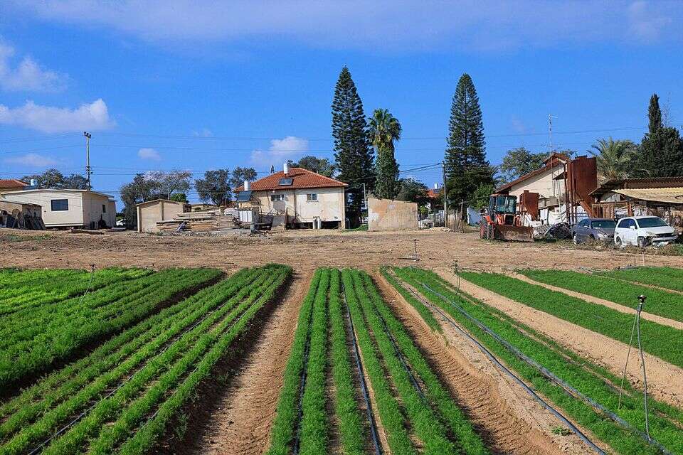 שדה חקלאי בעוטף עזה (ארכיון) , משה שי