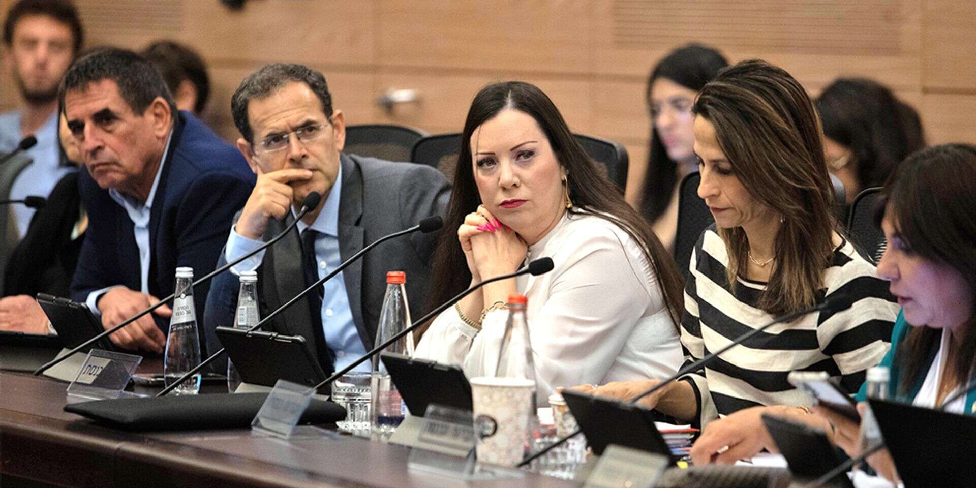 חברי הכנסת גוטליב וסעדה, שהתנגדו לחוק הרבנים , אורן בן חקון