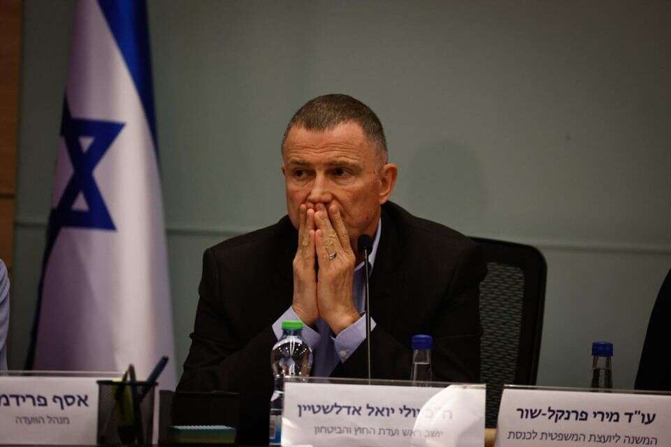 השר הראשון שביקר את פולארד בתקופת מאסרו. אדלשטיין בוועדת חוץ וביטחון (ארכיון) , אורן בן חקון