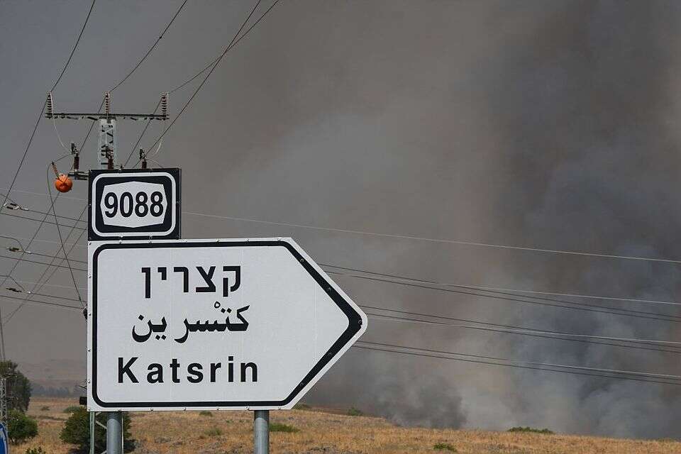 מתווה פיצויים לתושבי הצפון , אייל מרגולין - ג'יני