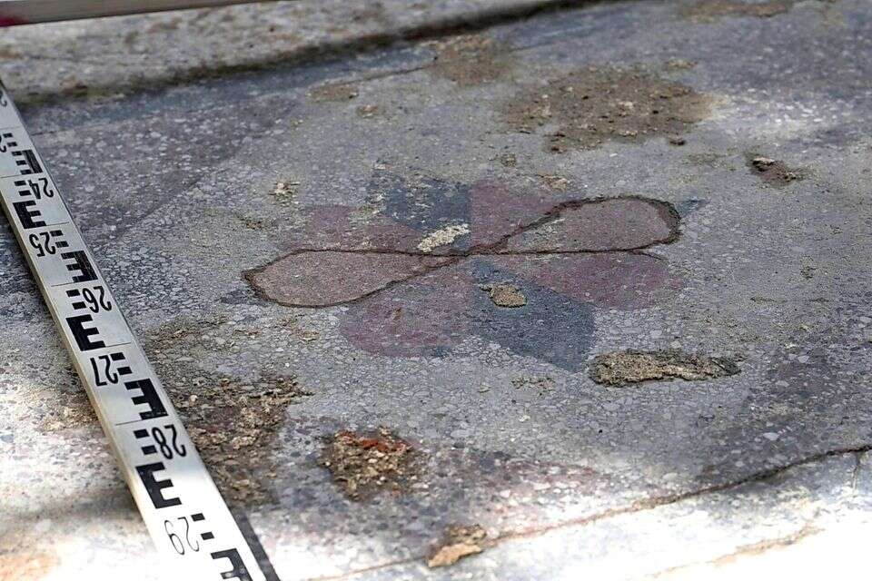 התגלו דגמי פרחים באדום, שחור ולבן , רשות העתיקות