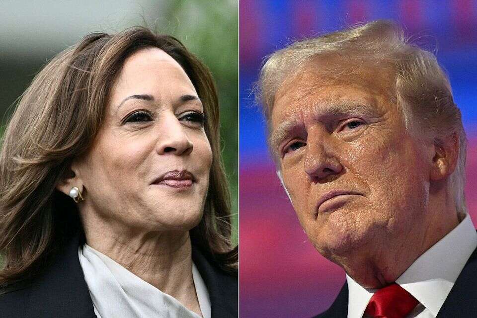 טראמפ והאריס , אי.אף.פי