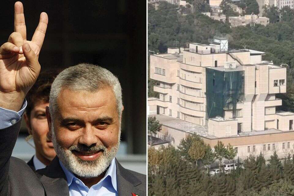 הנייה וזירת החיסול , אי.אף.פי/רשתות ערביות