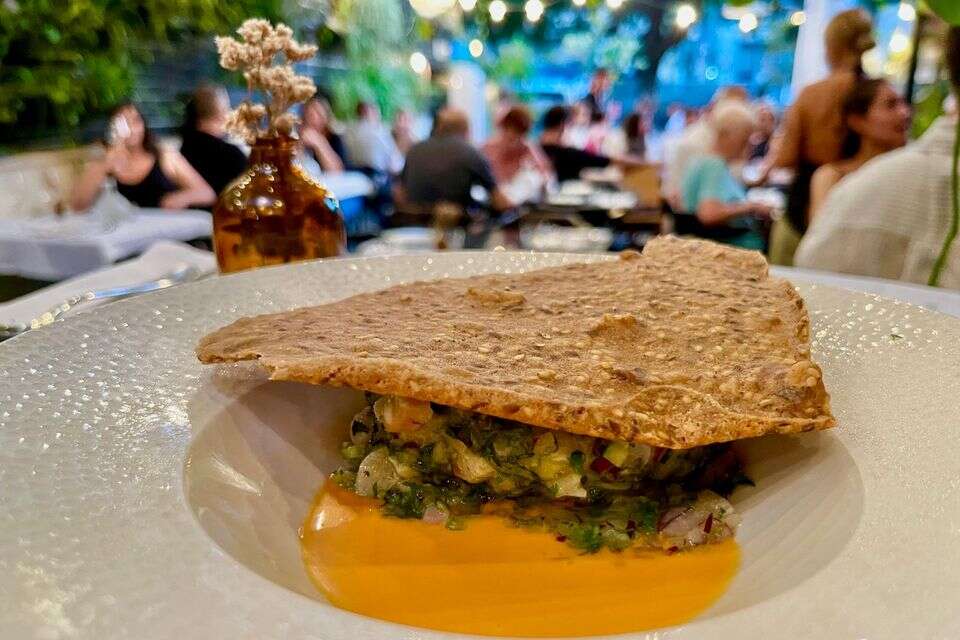 טרטר דג ב"קפה אירופה" , הילה דודאל