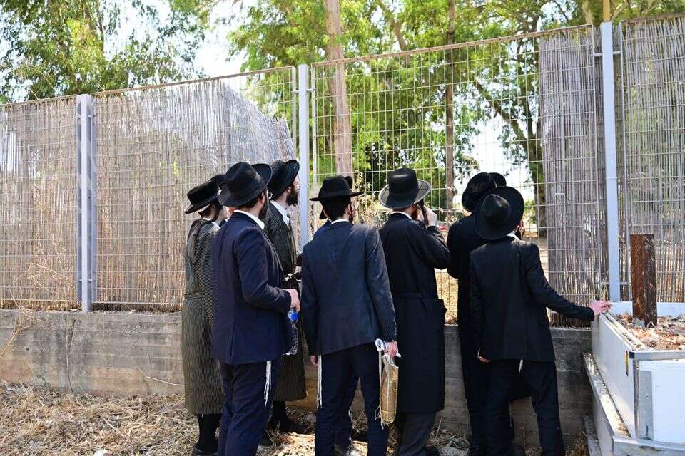 חרדים מהפלג הירושלמי מחוץ לבסיס תל השומר (ארכיון) , יוסי זליגר