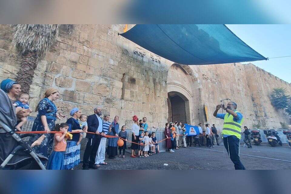 שרשרת אנושית מסביב להר הבית  ,  אלקנה וולפסון