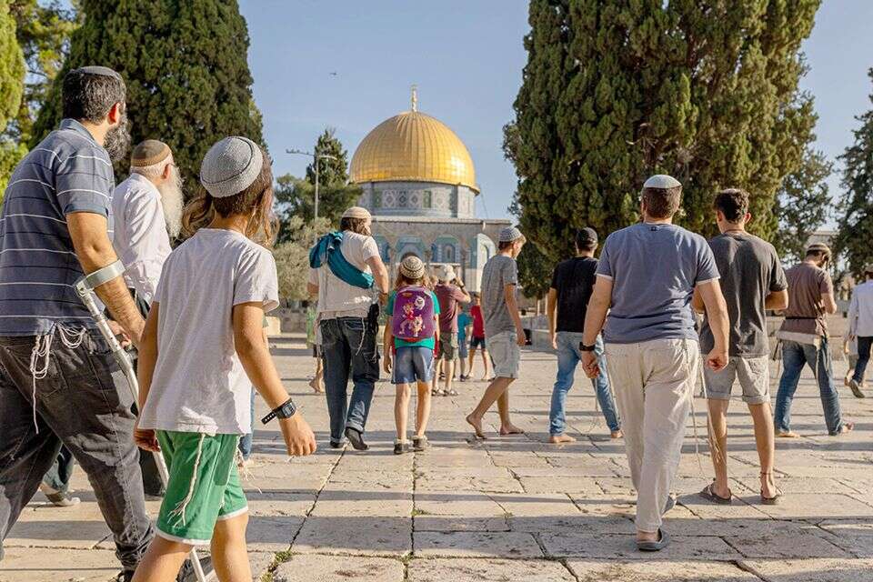 יהודים בהר הבית , נעמה שטרן