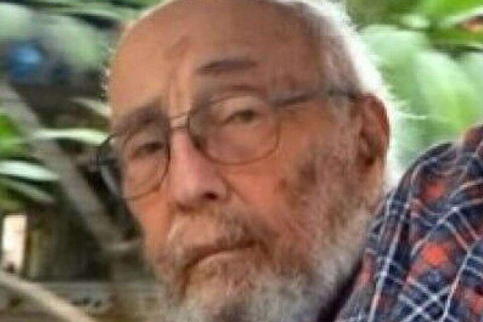 אריה זלמנוביץ' , ללא