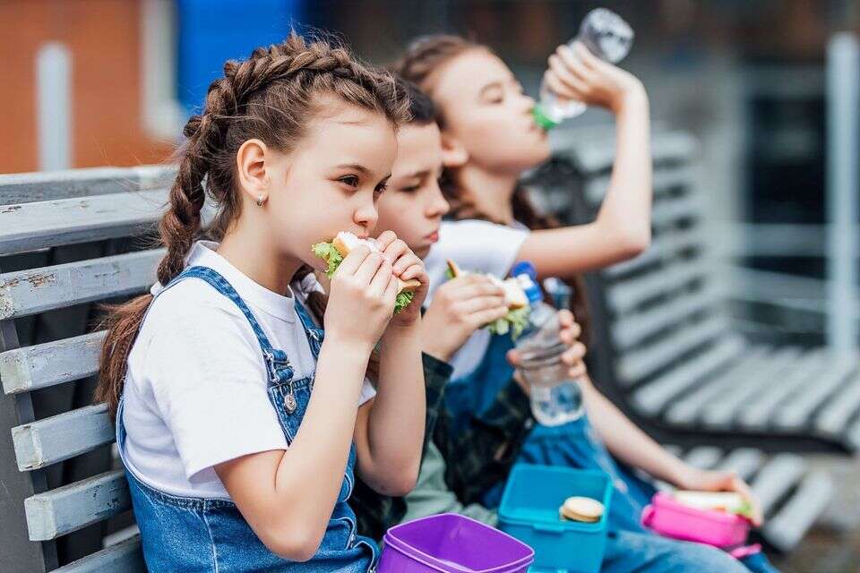הכריכים חוזרים עם החזרה ללימודים , יחצ