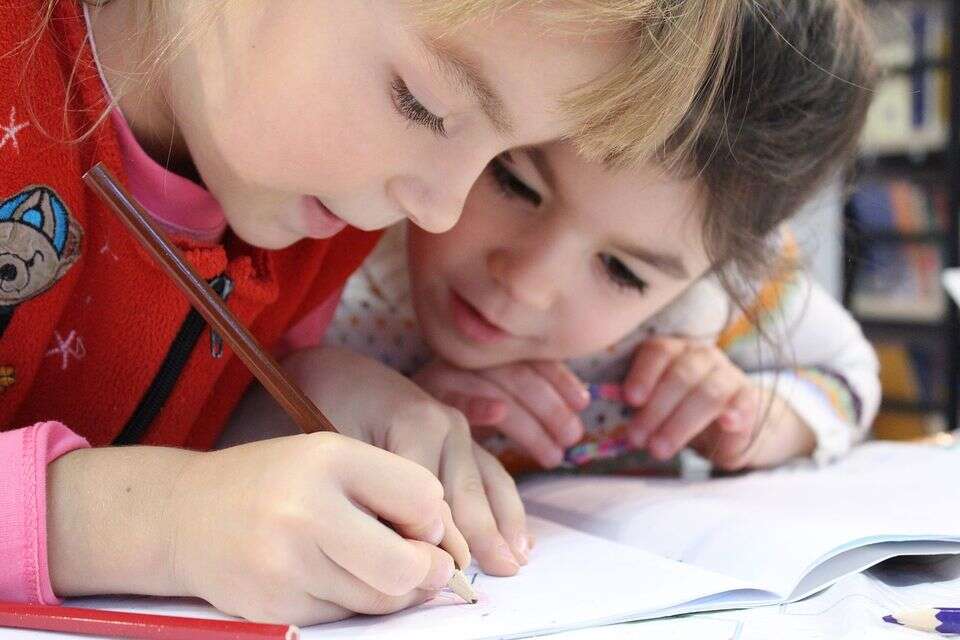 החזרה לבית הספר מלווה לעיתים ברגשות מעורבים - שמחה על פגישה עם חברים לצד חרדה מהאתגרים החדשים , klimkin / pixabay