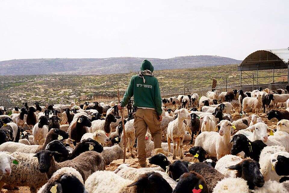 מתנדב ארגון "השומר יו"ש" , השומר יו"ש
