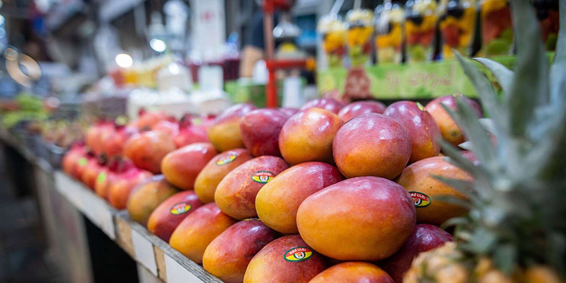 מנגו , אורן בן חקון