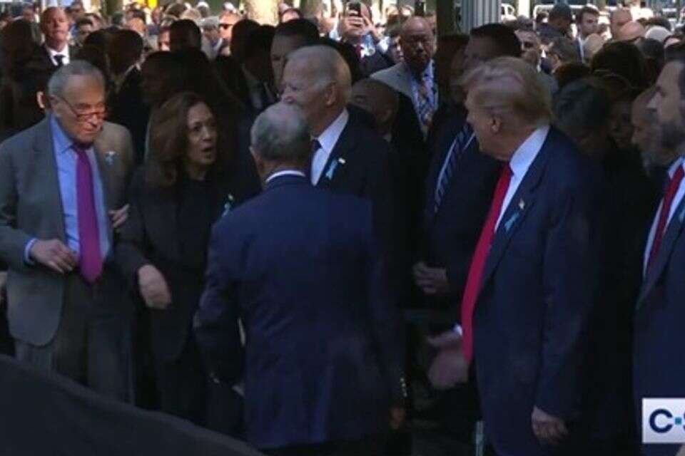בלומברג מפנה את תשומת לבה של האריס לטראמפ , צילום מסך