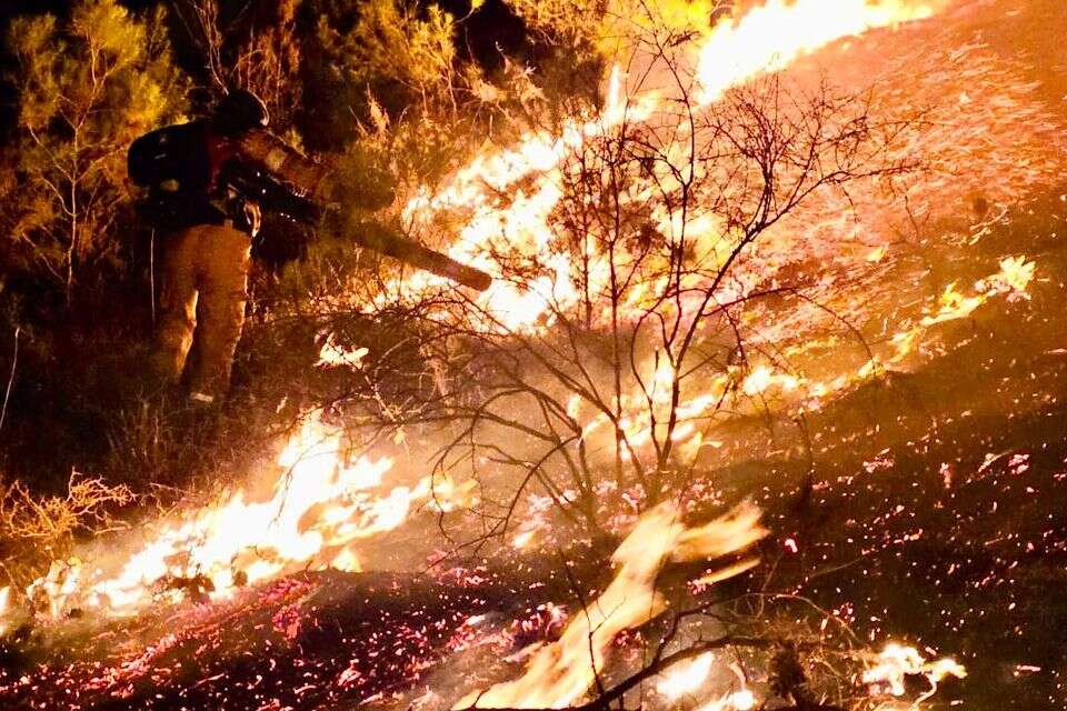 שריפה ביער ביריה שבמרחב צפת כתוצאה מהמטח הלילה , כב״ה צפון