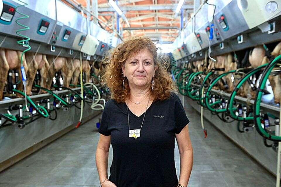 אסתר מרכוס ברפת  , אורן כהן