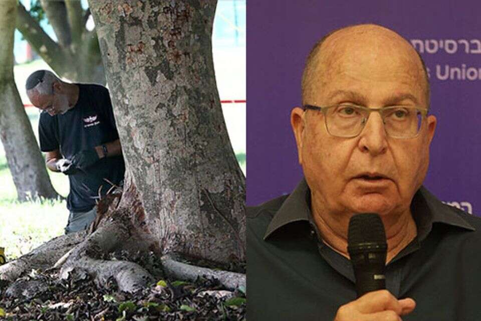 יעלון לצד הזירה בפארק הירקון , אוניברסיטת רייכמן, גדעון מרקוביץ