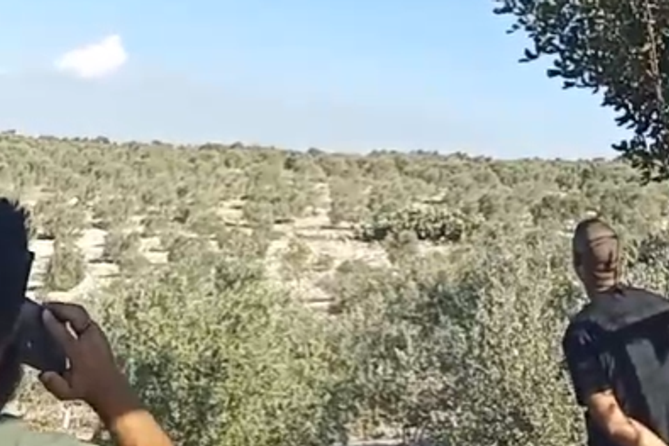 אזעקות בכרמל , ללא