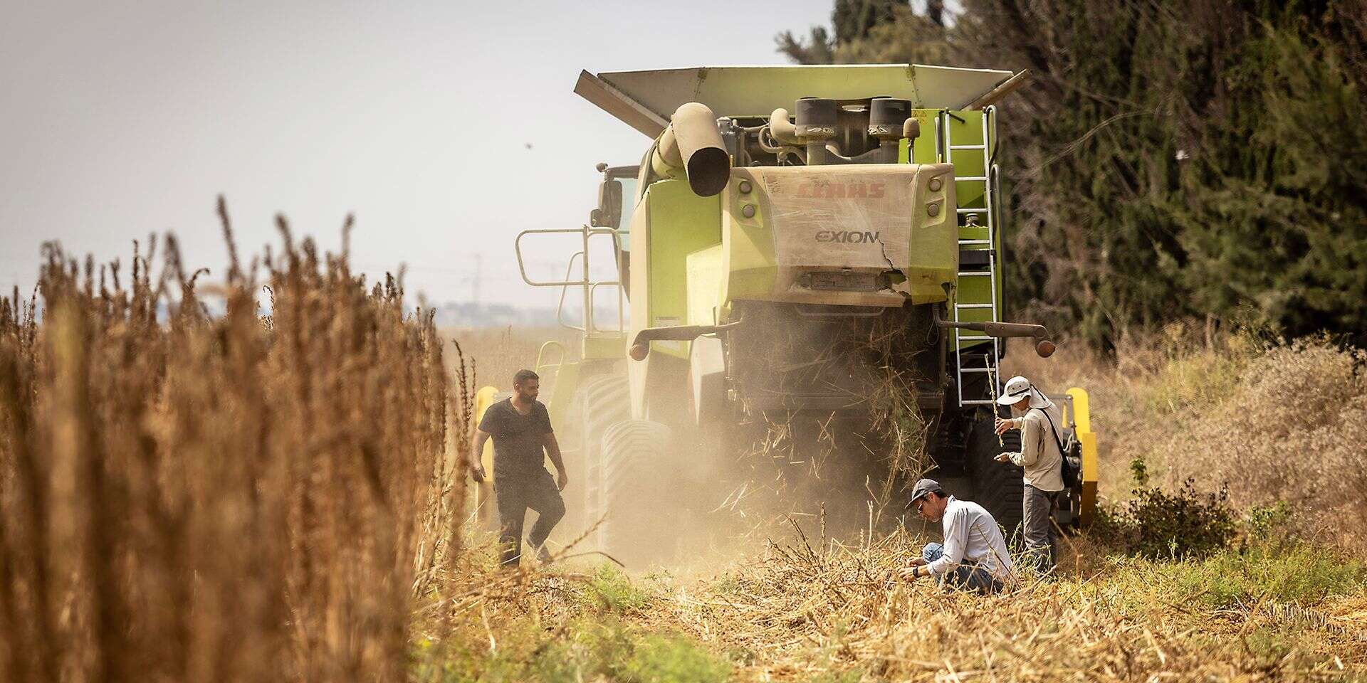 רחוב שומשום. טוב, בערך  , אריק סולטן