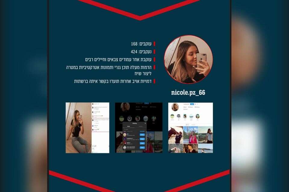 פרופיל פיקטיבי , דובר צה"ל