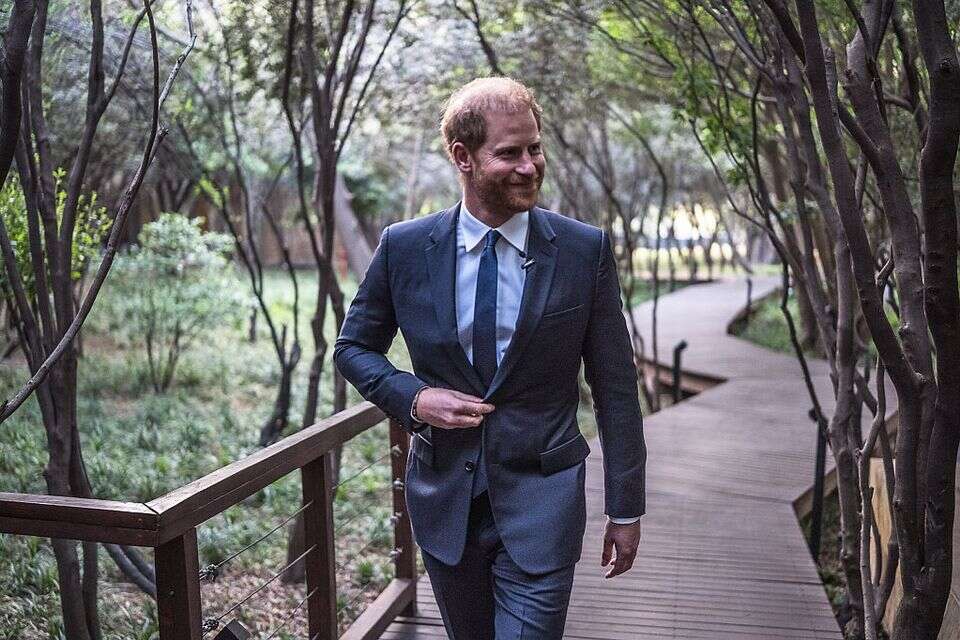הנסיך הארי בדרום אפריקה. לבדו , GettyImages