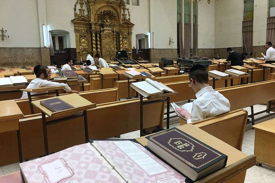 ישיבת פוניבז , גרי אברמוביץ
