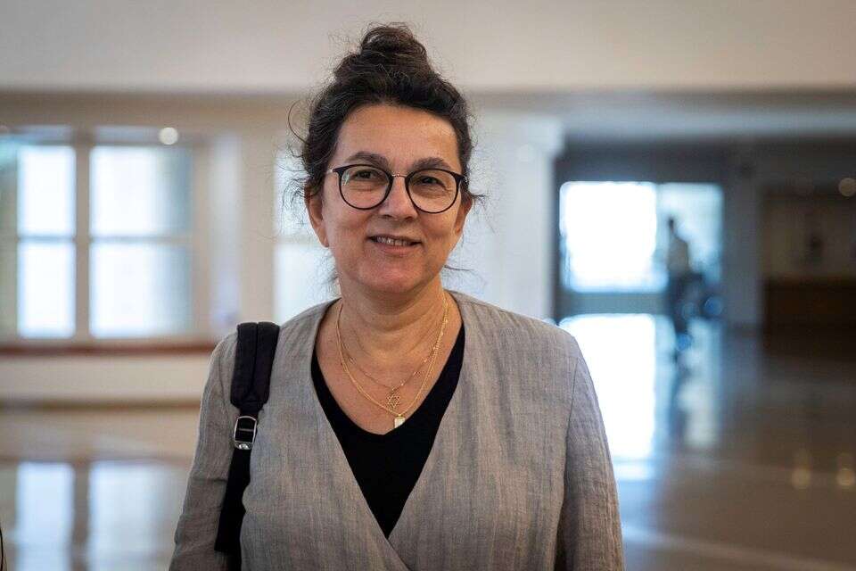 עירית לינור בכניסה לדיון בבית המשפט העליון , אורן בן חקון