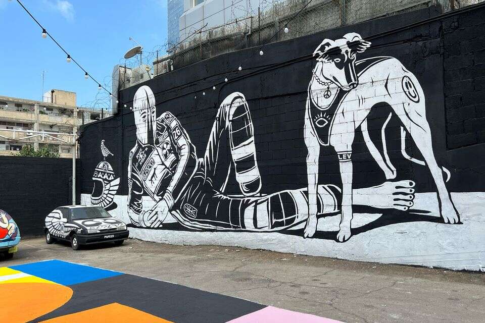 עבודתו של פלפלד, מתוך התערוכה , יח"צ