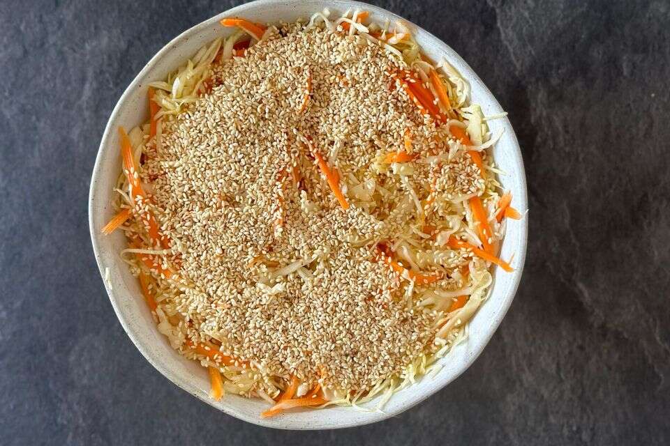 סלט כרוב וגזר , יעל לאור