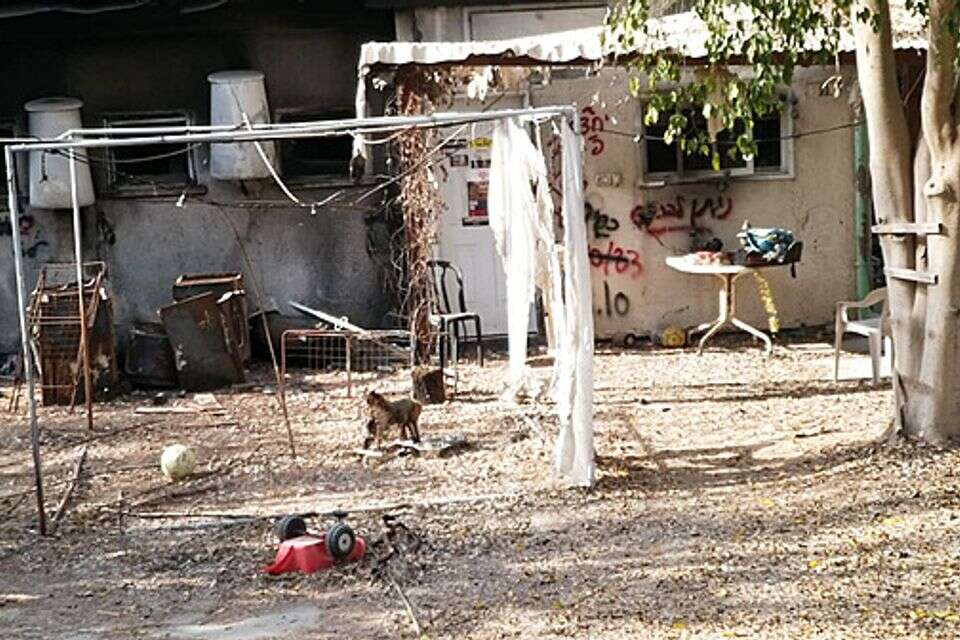 סוכתו של תמיר אדר בקיבוץ ניר עוז , עדי נגב