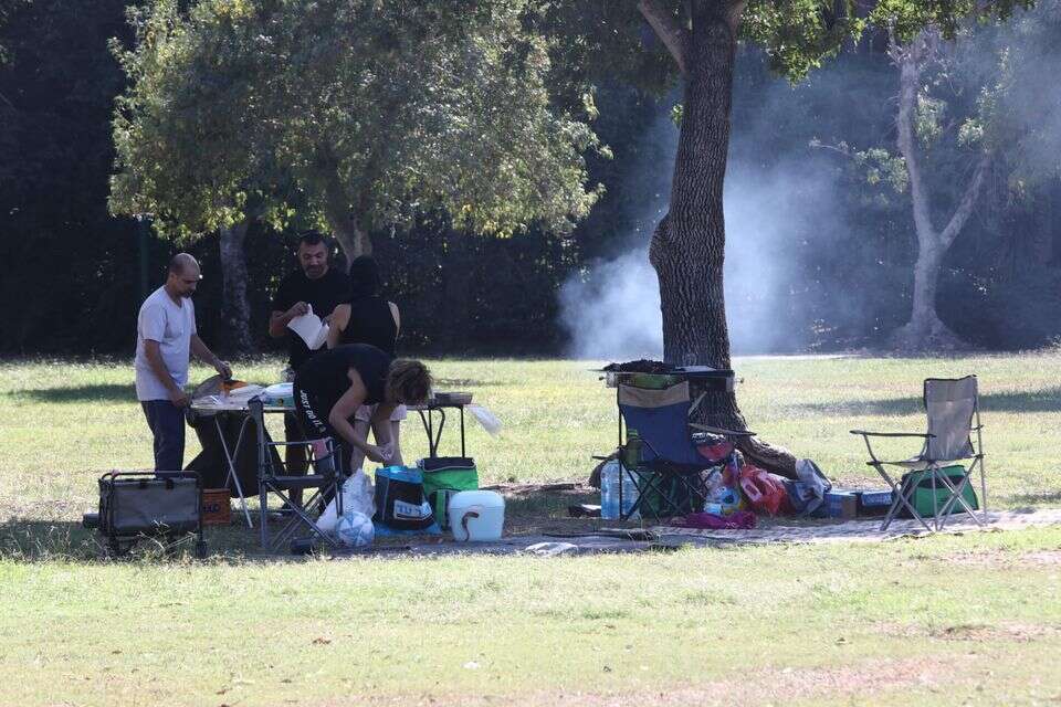ממנגלים ביום העצמאות , גדעון מרקוביץ'