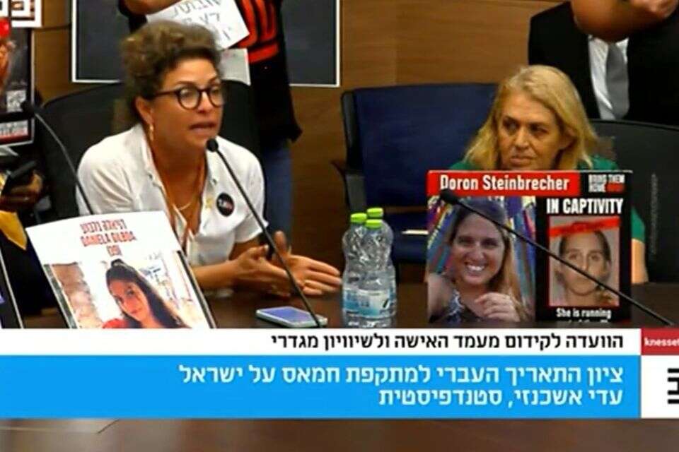 עדי אשכנזי בדיון בכנסת , צילום מסך, ערוץ הכנסת