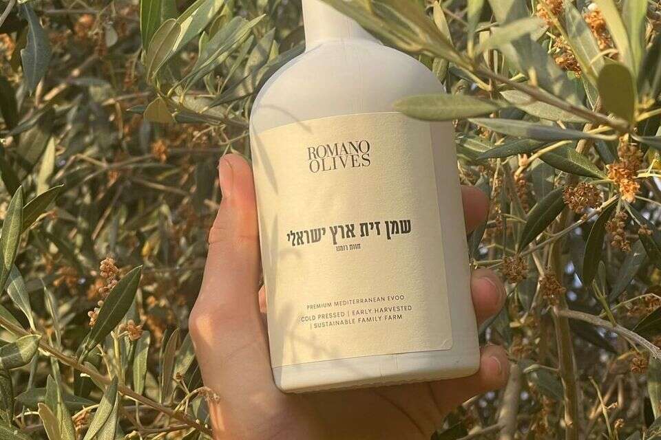 שמן זית רומנו , ירדן נציה