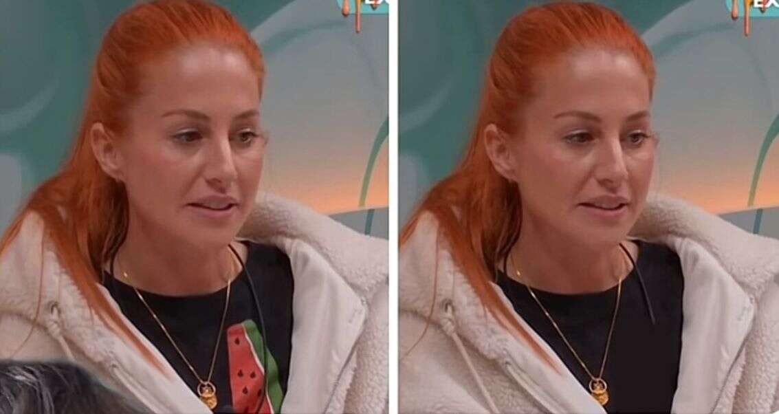 מתממודדת האח הגדול בריטניה עם ובלי ציור האבטיח הפרו-פלסטיני , האח הגדול בריטניה