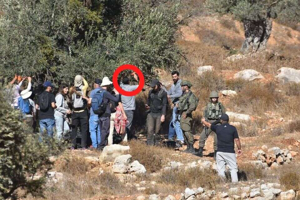מסיק הזיתים. תירוץ פלשתיני להבערת השטח ביהודה ושומרון , .