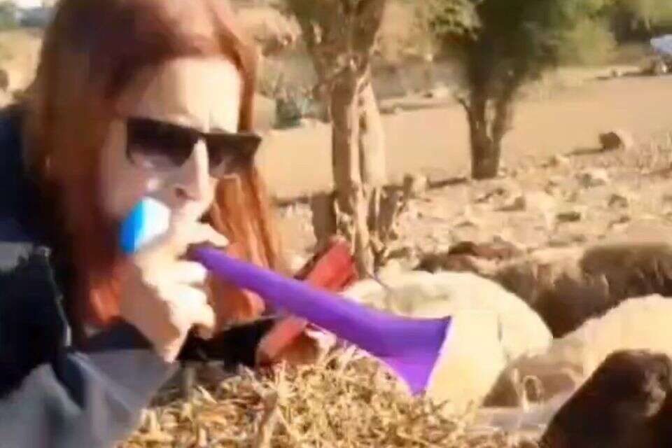 הפעילה זמבורה באזני הכבשים. פעילת הארגון "מסתכלים לכיבוש בעיניים" , ה