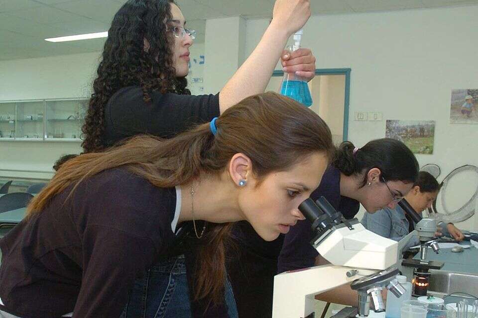 תלמידות בכיתת מדעים , דודו גרינשפן