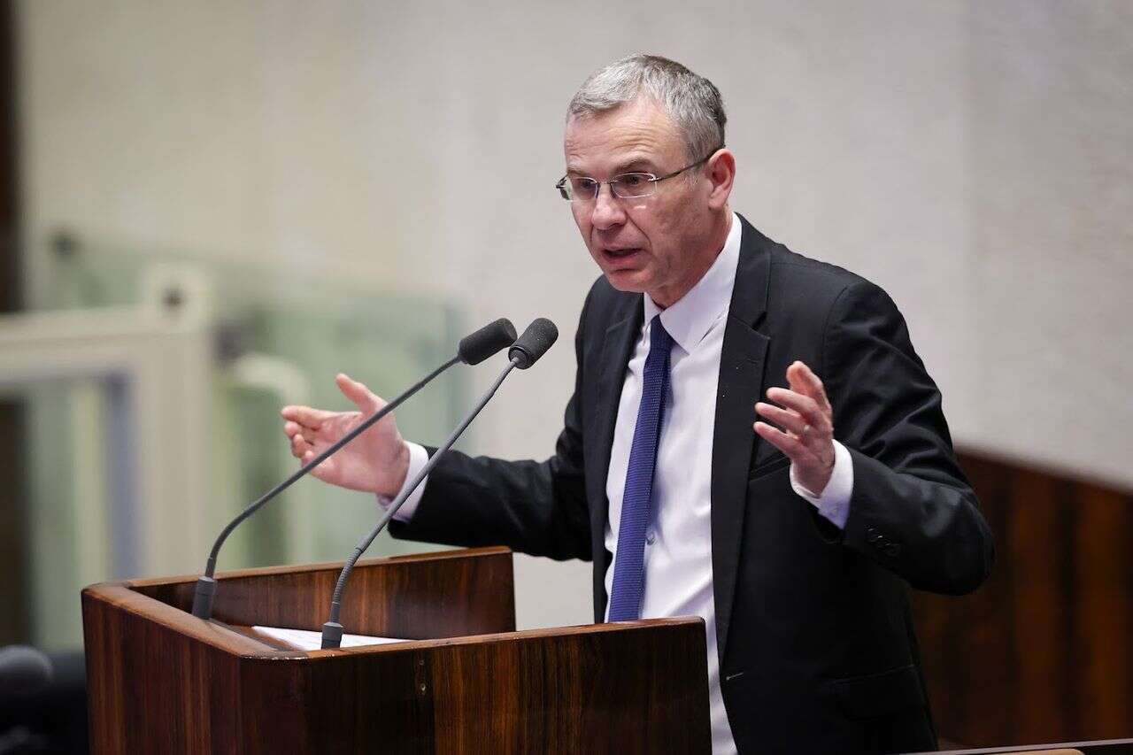 Levin to the High Court on the appointment of judges: does not commit to a schedule, temporary appointments will be made