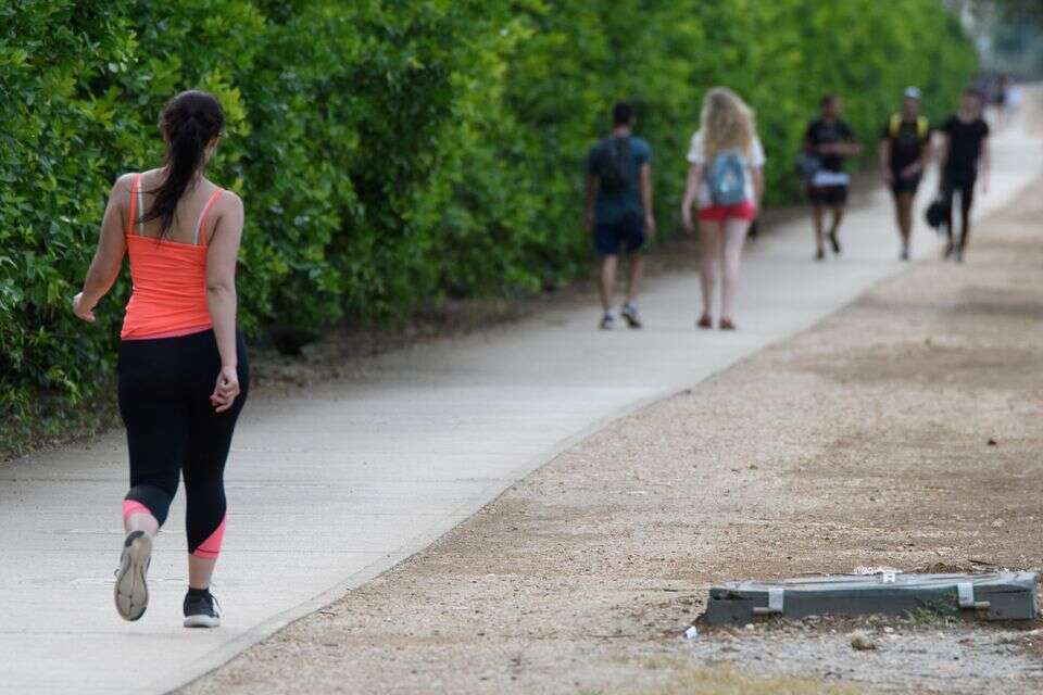 הליכה. אילוסטרציה , אייל מרגולין