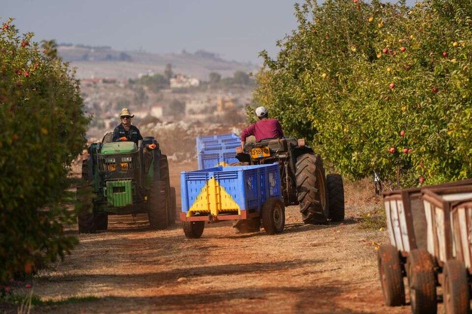 פרדסי קיבוץ מלכיה על גבול לבנון , אייל מרגולין/ג'יני