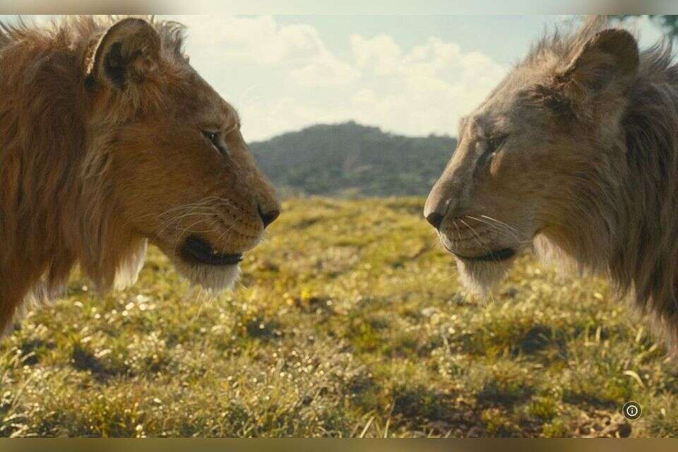מופאסה , יחצ