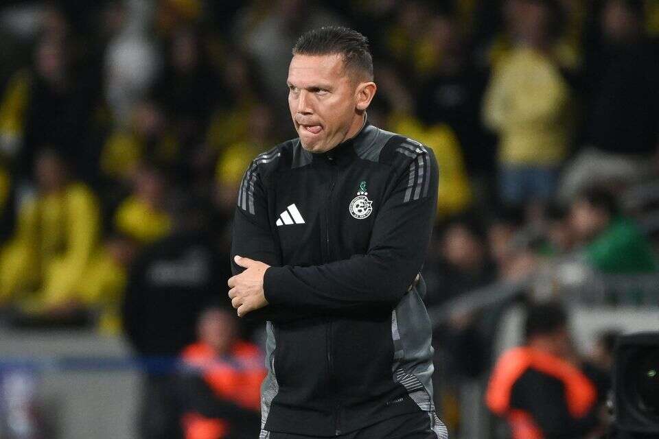 ברק בכר , ברני ארדוב