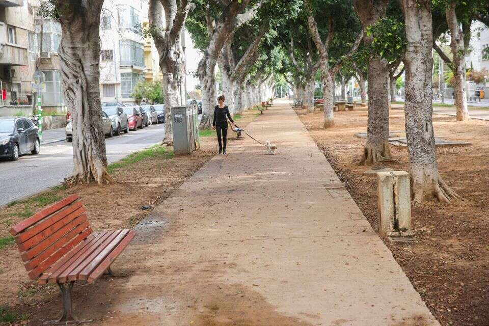 שדרות רוטשילד בתל אביב (ארכיון) , יהושע יוסף