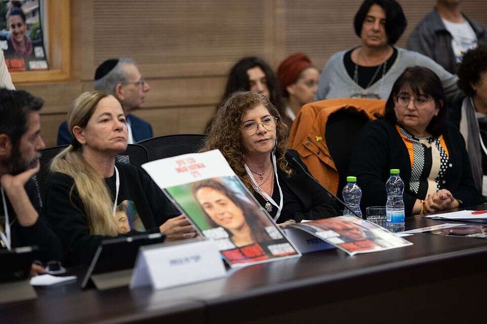 מירב טל בוועדה לביקורת המדינה , אורן בן חקון