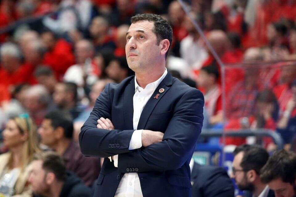 יונתן אלון , אלן שיבר